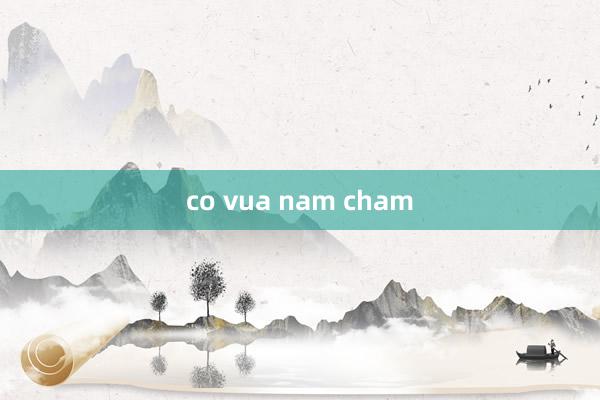 co vua nam cham