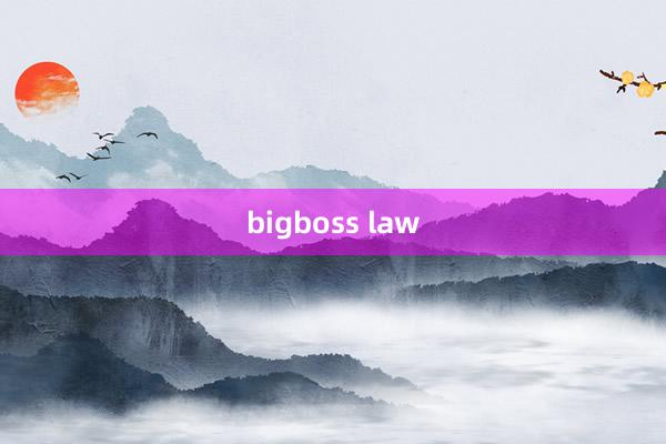 bigboss law