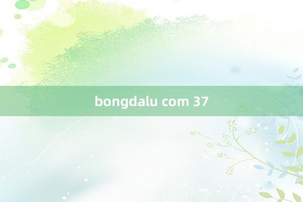 bongdalu com 37