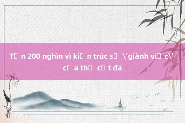 Tốn 200 nghìn vì kiến trúc sư 'giành việc' của thợ cắt đá